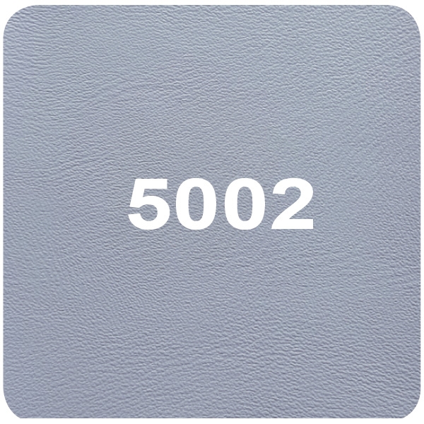 5002