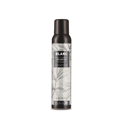 Picture of BLACK PROFESSIONAL LINE BLANC VOLUME UP ROOT SPRAY 300ML