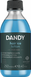 Show details for DANDY HAIR ICE refreshing lotion 250ml