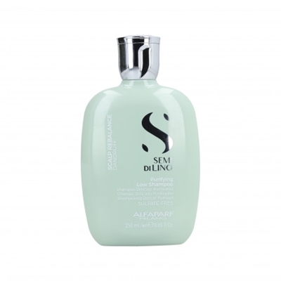Picture of ALFAPARF SEMI DI LINO REBALANCE PURIFYING SHAMPOO 250ML