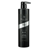 Показать информацию о DSD DE LUXE BOTOX LIKE HAIR THERAPY de LUXE 5.1.1 шампунь 500мл