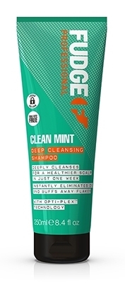 Picture of FUDGE CLEAN MINT deep cleansing shampoo 250ml