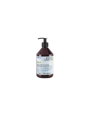 Picture of EVERYGREEN Purifying Shampoo 500ml 